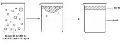 ampolla - fig3