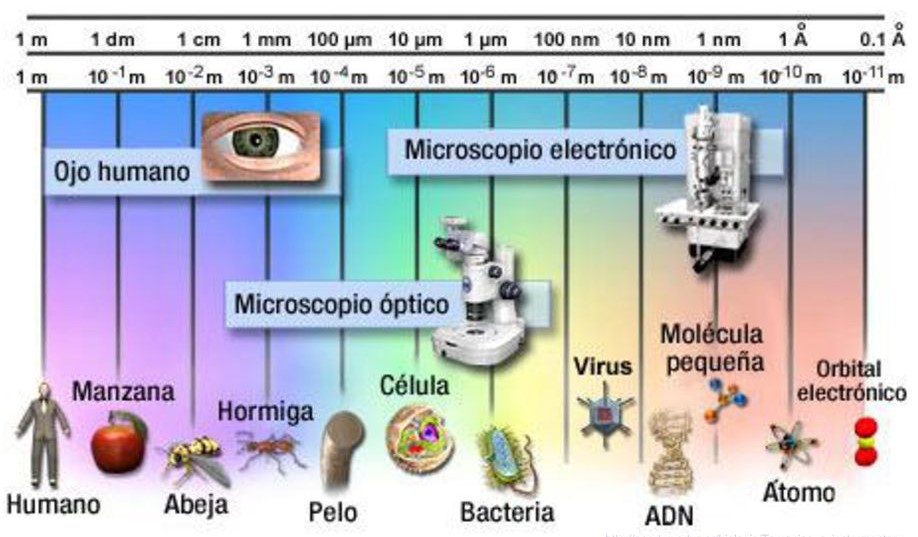microscopio - fig1