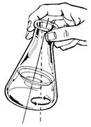 vaso - fig2