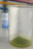 cromatografia - fig4.b - cromatografía en vaso de precipitado