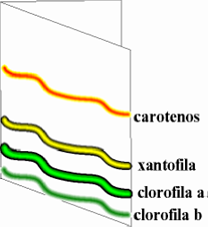 cromatografia - fig6 - Cromatograma