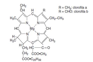 fig1.a - Estructura química de la clorofila a y b, estructuras de carotenoides naturales
