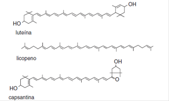 fig1.b - Estructura química de la clorofila a y b, estructuras de carotenoides naturales
