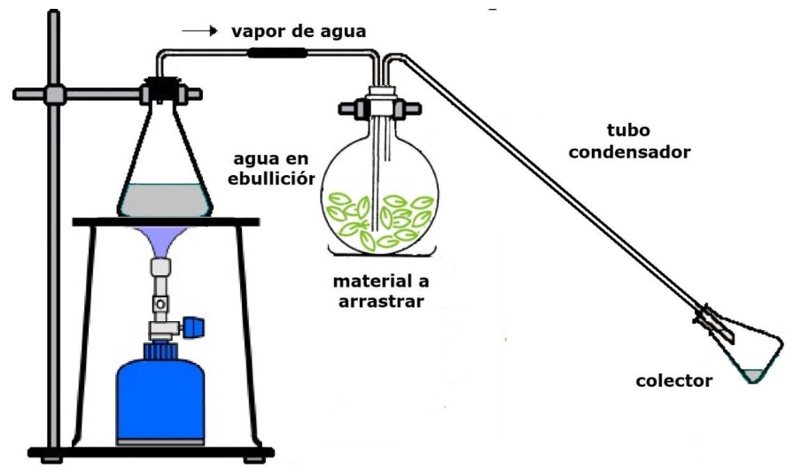 hidrodestilacion - fig2