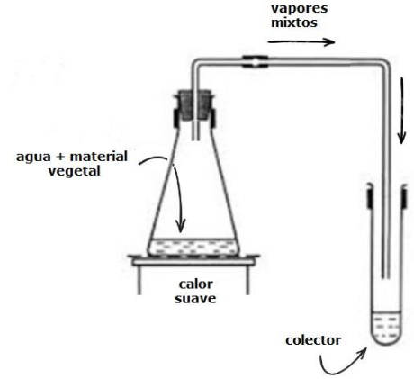 hidrodestilacion - fig3