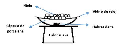 extraccion - fig3 - Dispositivo utilizado para la sublimación